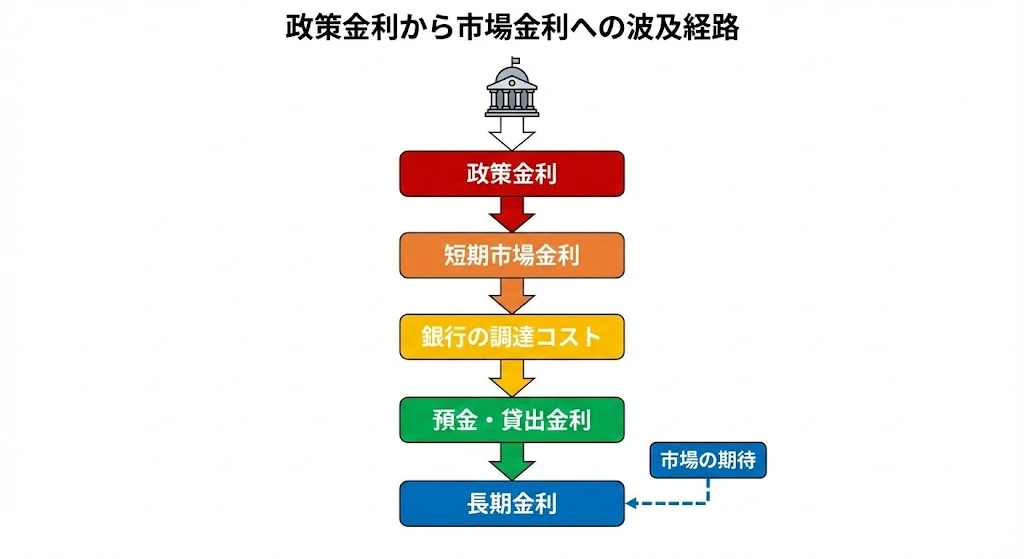 政策金利から市場金利への波及経路